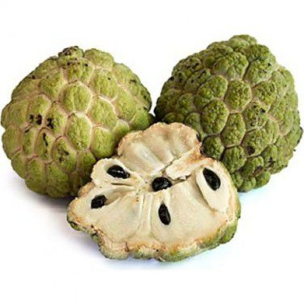 Sugar Apple Meyvesi Tohumu Ekim Seti 3 Tohum Şeker Elma Tohumu Saksı Toprak Kombin ürün görseli 1