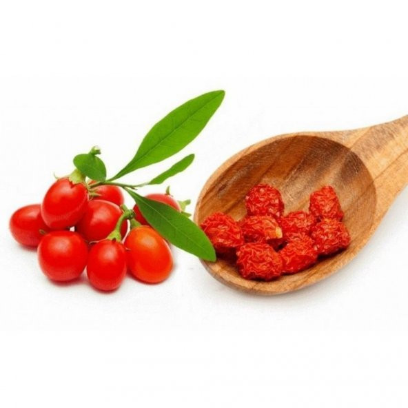 Süper Paket 250 Adet Tohum İthal Goji Berry Tohumu Gojiberry Goji ürün görseli 1