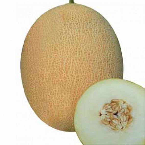 Eko Paket 200 Adet Tohum Ananas Kavun Tohumu Ananas Kavunu Tohumu ürün görseli 1