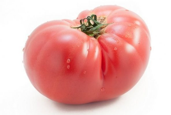 Eko Paket 150 Adet Tohum İthal Pembe Domates Tohumu İri Cins Bulgar Domatesi ürün görseli 1