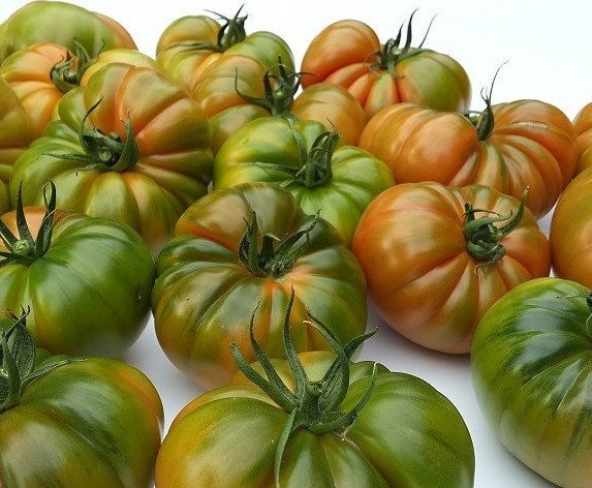 Eko Paket 200 Adet Tohum Mis Kokulu Yayla Domatesi Tohumu Domates Tohumu ürün görseli 1