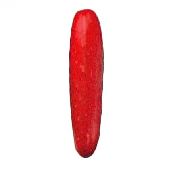 Nadir İthal Kırmızı Salatalık Tohumu 5 Adet Tohum Red Cucumber ürün görseli 1