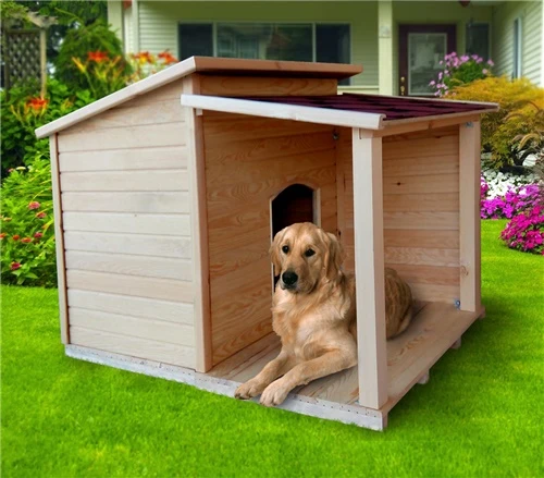 Köpek Kulübesi ; Paşa Xl - Resim 4