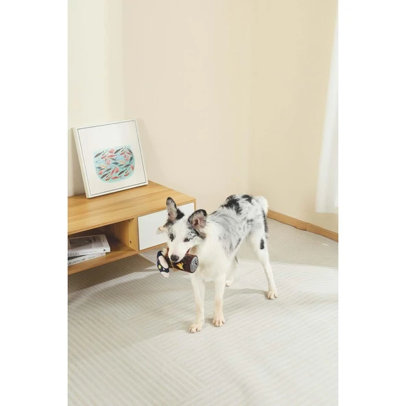 M-Pets Christmas Socks Snack Attack Köpek Oyuncağı - Resim 5