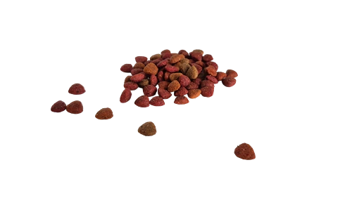 Bestpet Yetişkin Kediler İçin Mix Tavuk Etli, Kuzu Etli Ve Balıklı Kuru Mama 1 kg ürün görseli 1