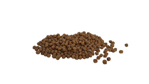 Bestpet Yavru Kediler İçin, Tavuk Etli Ve Pirinçli Kuru Mama 15 kg ürün görseli 1