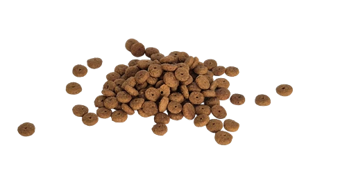 Bestpet Yetişkin Kısırlaştırılmış Kediler İçin Somonlu Kuru Mama 15 kg ürün görseli 1