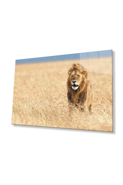 Aslan Cam Tablo 4mm Dayanıklı Temperli Cam ürün görseli 1
