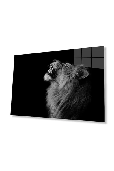 Aslan Cam Tablo 4mm Dayanıklı Temperli Cam ürün görseli 1