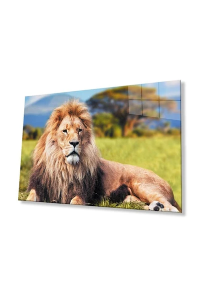 Aslan Cam Tablo 4mm Dayanıklı Temperli Cam ürün görseli 1