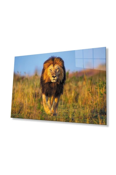 Aslan Cam Tablo 4mm Dayanıklı Temperli Cam ürün görseli 1