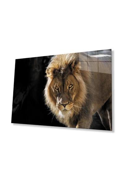 Aslan Cam Tablo 4mm Dayanıklı Temperli Cam ürün görseli 1