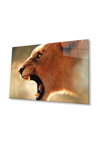 Aslan Cam Tablo 4mm Dayanıklı Temperli Cam ürün görseli 1