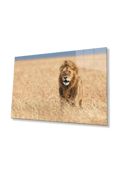 Aslan Cam Tablo 4mm Dayanıklı Temperli Cam ürün görseli 1