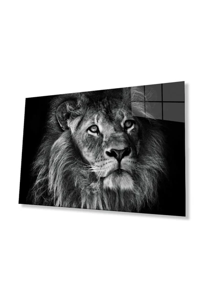 Aslan Cam Tablo 4mm Dayanıklı Temperli Cam ürün görseli 1