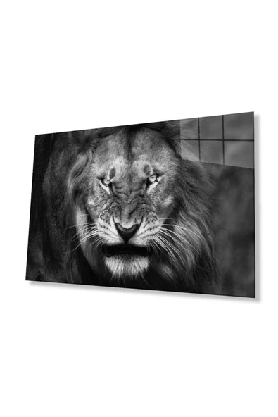 Aslan Cam Tablo 4mm Dayanıklı Temperli Cam ürün görseli 1