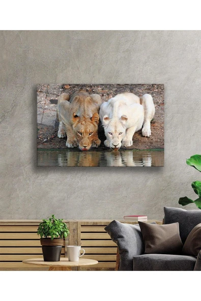 Aslan Cam Tablo 4mm Dayanıklı Temperli Cam - Resim 2