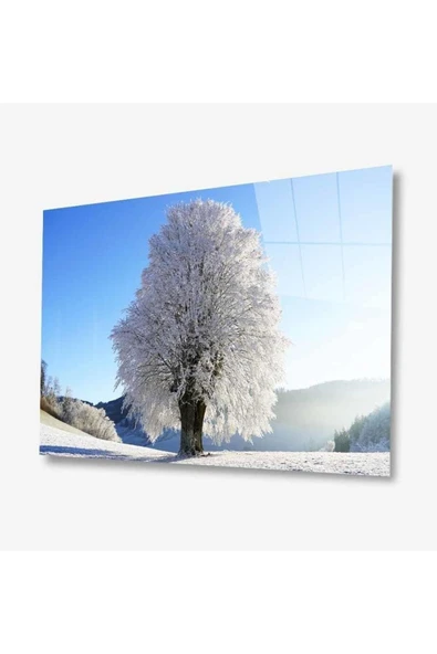 Doğa Cam Tablo 4mm Dayanıklı Temperli Cam ürün görseli 1