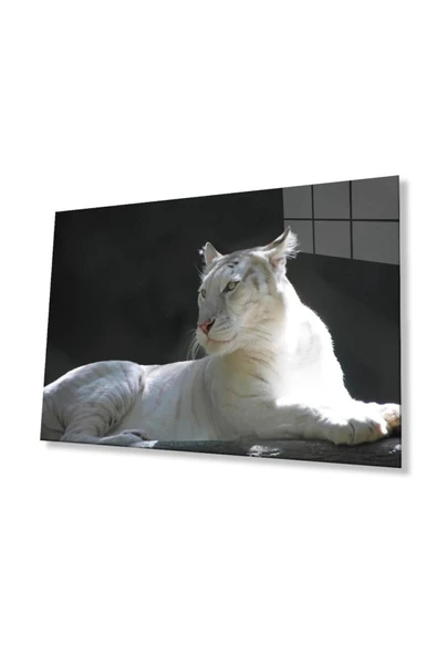 Aslan Cam Tablo 4mm Dayanıklı Temperli Cam ürün görseli 1