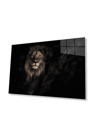 Aslan Cam Tablo 4mm Dayanıklı Temperli Cam ürün görseli 1