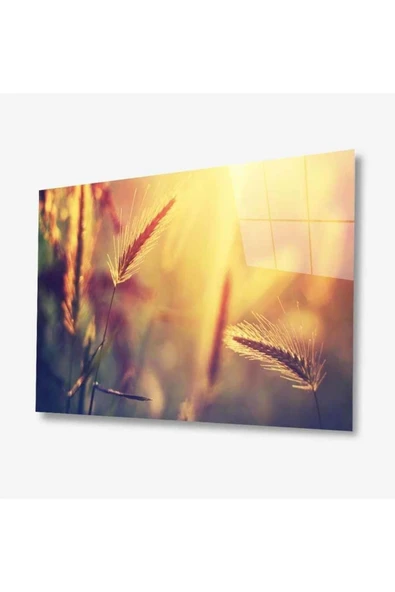Doğa Cam Tablo 4mm Dayanıklı Temperli Cam ürün görseli 1
