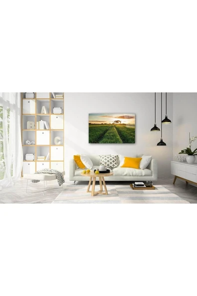 Doğa Cam Tablo 4mm Dayanıklı Temperli Cam - Resim 2