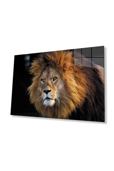 Aslan Cam Tablo 4mm Dayanıklı Temperli Cam ürün görseli 1