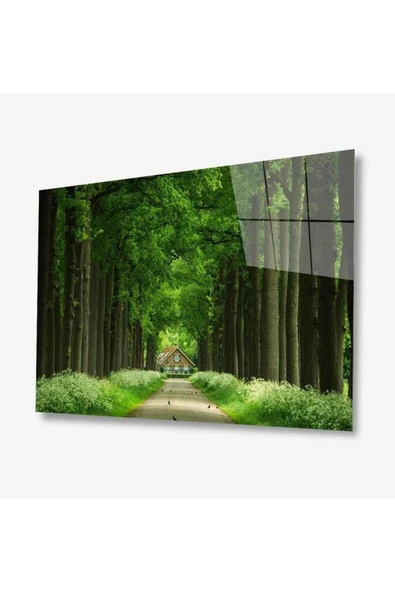 Doğa Cam Tablo 4mm Dayanıklı Temperli Cam ürün görseli 1