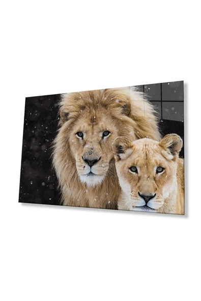 Aslan Cam Tablo 4mm Dayanıklı Temperli Cam ürün görseli 1