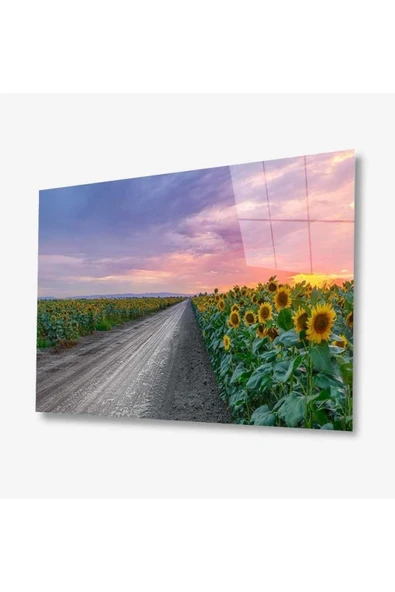 Doğa Cam Tablo 4mm Dayanıklı Temperli Cam ürün görseli 1