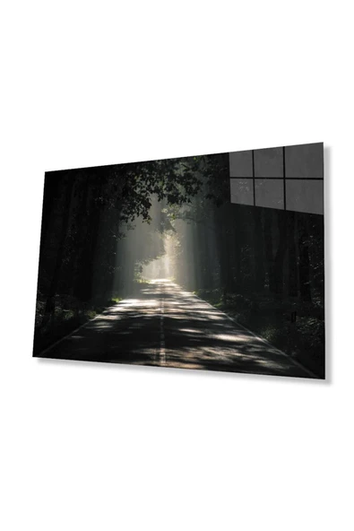 Ağaçlı Yol Cam Tablo 4mm Dayanıklı Temperli Cam Parkway Glass Wall Art ürün görseli 1