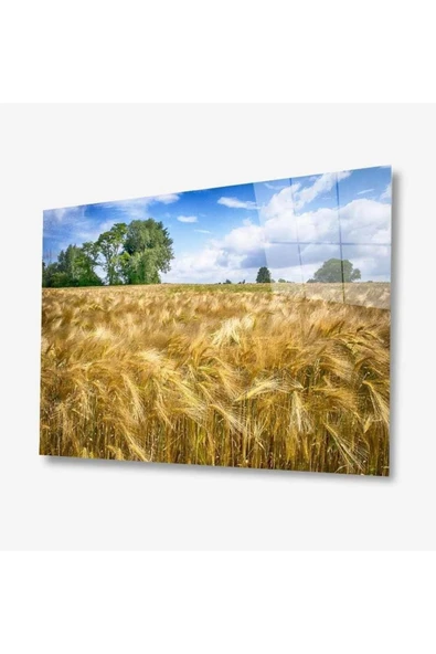 Doğa Cam Tablo 4mm Dayanıklı Temperli Cam ürün görseli 1