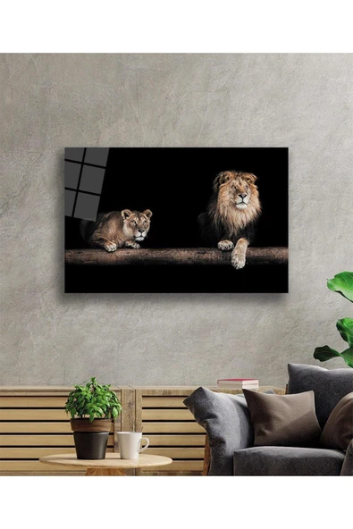 Aslan Cam Tablo 4mm Dayanıklı Temperli Cam - Resim 2
