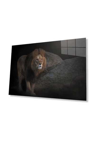 Aslan Cam Tablo 4mm Dayanıklı Temperli Cam ürün görseli 1