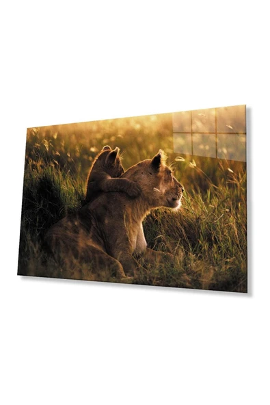 Aslan Cam Tablo 4mm Dayanıklı Temperli Cam ürün görseli 1