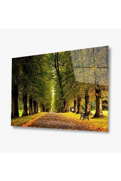 Doğa Cam Tablo 4mm Dayanıklı Temperli Cam ürün görseli 1