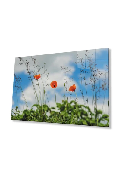 Gelincik Çiçeği Cam Tablo 4mm Dayanıklı Temperli Cam Poppy Flower Glass Wall Art ürün görseli 1