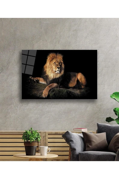 Aslan Cam Tablo 4mm Dayanıklı Temperli Cam - Resim 2