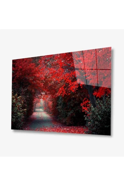 Doğa Cam Tablo 4mm Dayanıklı Temperli Cam ürün görseli 1