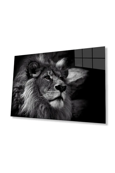 Aslan Cam Tablo 4mm Dayanıklı Temperli Cam ürün görseli 1