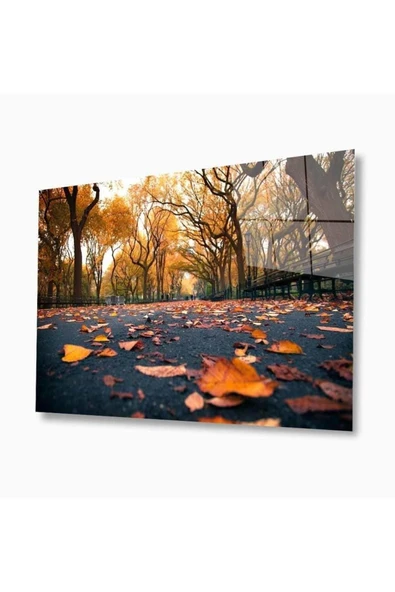 Doğa Cam Tablo 4mm Dayanıklı Temperli Cam ürün görseli 1