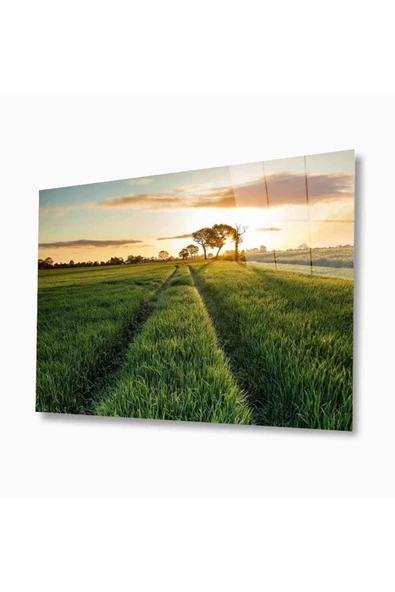 Doğa Cam Tablo 4mm Dayanıklı Temperli Cam ürün görseli 1