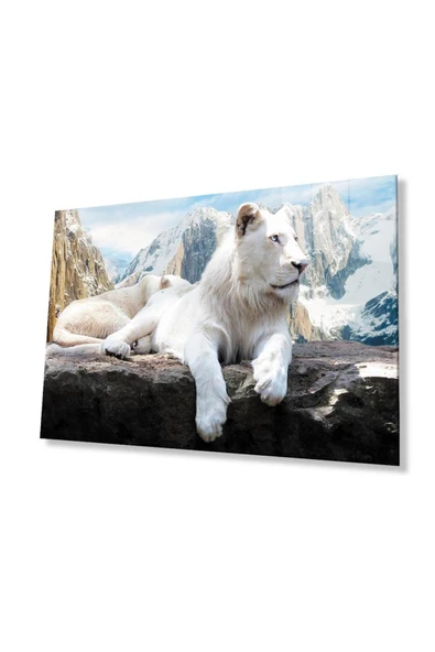 Aslan Cam Tablo 4mm Dayanıklı Temperli Cam ürün görseli 1