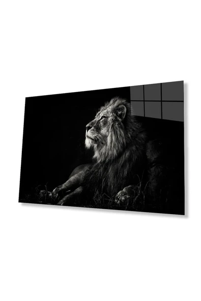 Aslan Cam Tablo 4mm Dayanıklı Temperli Cam ürün görseli 1