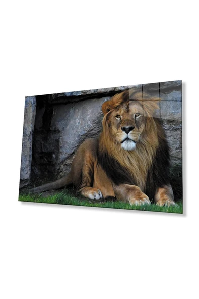 Aslan Cam Tablo 4mm Dayanıklı Temperli Cam ürün görseli 1