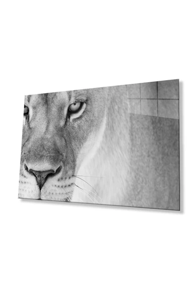Aslan Cam Tablo 4mm Dayanıklı Temperli Cam ürün görseli 1