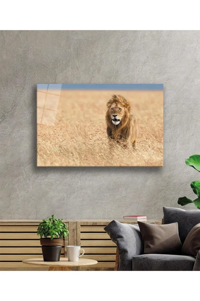 Aslan Cam Tablo 4mm Dayanıklı Temperli Cam - Resim 2