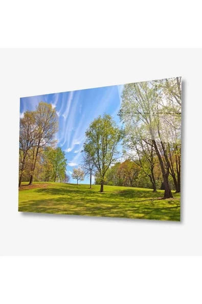 Doğa Cam Tablo 4mm Dayanıklı Temperli Cam ürün görseli 1