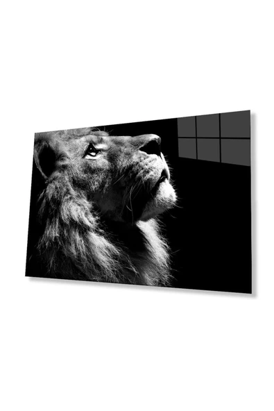 Aslan Cam Tablo 4mm Dayanıklı Temperli Cam ürün görseli 1