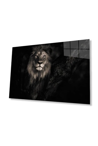 Aslan Cam Tablo 4mm Dayanıklı Temperli Cam ürün görseli 1
